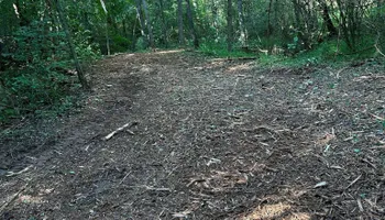 Forestry Mulching for Southern Land Solutions Forestry Mulching, LLC in Cleveland, NC