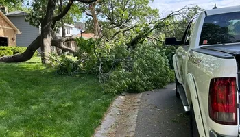 Tree Removal for Allstate Tree Service and Crane in Spring Lake Park, MN