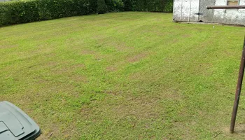 Mowing for Big Guy's Lawn Care & Landscaping Services in Memphis, TN