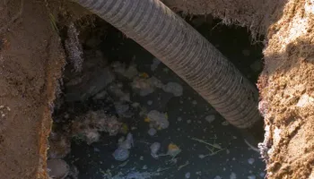 Clogs and Drain Cleaning for Plumb Ultra LLC in Gainesville, FL