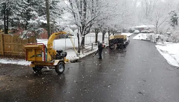 Tree Removal for Rush Tree Specialist in Knoxville, TN