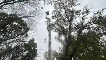 Tree Removal for Cross Family Tree Service in Kearney, MO