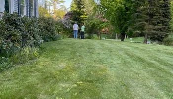 Tree Removal for Green In Green Out Tree Services in Westbrook, ME