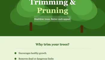 Tree Removal for Dittmer Tree Service in Davenport, IA