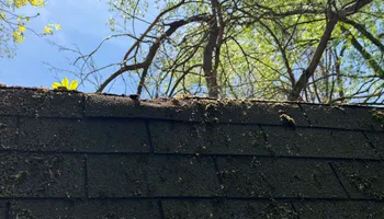 Tree Removal for Fowler's Tree Service LLC. in New Albany, PA