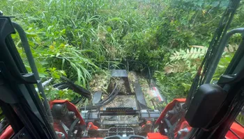 Land Clearing for Taylormade Land Service LLC in Hopkins County, KY