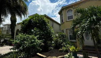 Tree Removal for Outdoor Solutions Of The Glades in Hendry County, FL