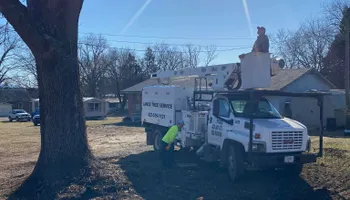 Tree Removal for Lance Tree Service in Tellico Plains ,  TN
