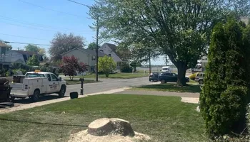Tree Removal for Etherton’s Tree Service in Quinton, NJ