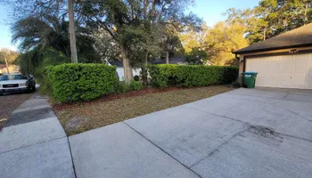 Tree Trimming for Highlife Tree Care And Landscaping in Altamonte Springs, FL