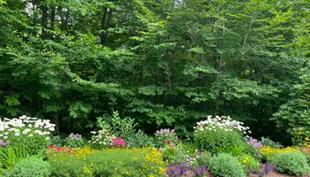 Mowing for Sustainable Lawn and Landscape in Banner Elk, NC