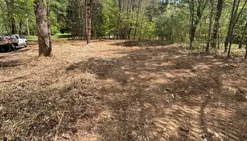Land Clearing for Untamed Services in Shawboro, NC