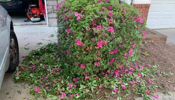 Mowing for Bega Landscape Services in Atlanta, Georgia