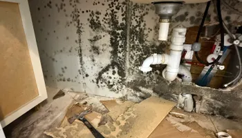 Water Mitigation for N&D Restoration Services When Disaster Attacks, We Come In in Cape Coral,  FL
