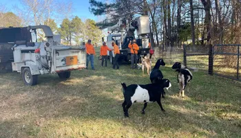 Tree Removal for Ross Family Tree Service LLC  in Hohenwald, TN