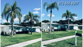 Tree Removal for Elevation Tree Service in Holiday, FL