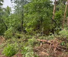Land Clearing for A.P Land Management in Atlanta, Ga
