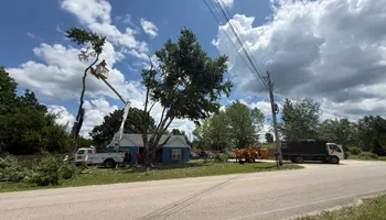 Tree Removal for Ross Family Tree Service LLC  in Hohenwald, TN