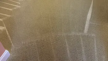 Carpet Cleaning for Randy’s Janitorial in Vallejo, CA