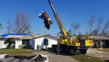 Tree Removal for Spruce Creek Tree Service in Port Orange, FL