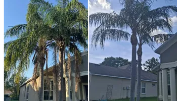 Landscape Design for Tezna Landscaping, Trees & Pavers in Valrico, FL