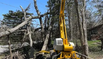 Tree Removal for Mays Tree and Stump Removal in Alden, NY