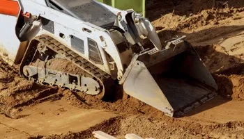 Stump Grinding for Busy Beaver Stump Removal, Inc in Clearwater, FL