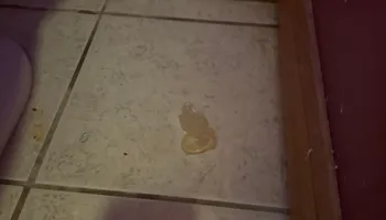 Residential Cleaning for A+ Cleaning and Services LLC in Deep Creek Lake, MD 