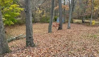 Mowing for Dibs Landscaping LLC in Cheshire, CT