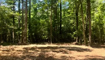 Land Clearing for Big Munchie Landworx in Jackson, MS