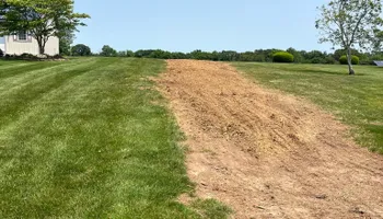 Tree Removal for Etherton’s Tree Service in Quinton, NJ
