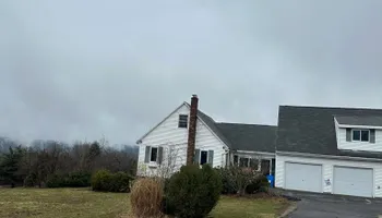 Tree Removal for Leaf and Limb in Townsend, MA