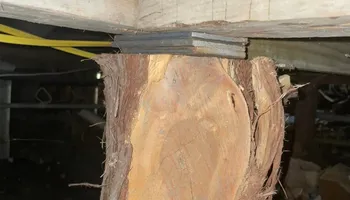 Foundation Repair for South Texas Foundation Repair in San Antonio, Texas