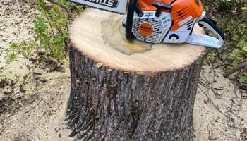 Tree Trimming for Pinedown LLC in Cherokee County, GA