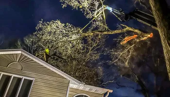Tree Removal for Down To Earth Tree Service in Red Wing,  Minnesota