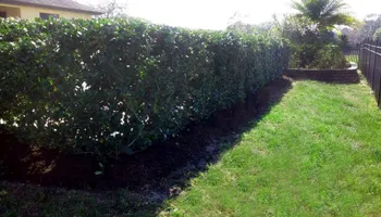 Mowing for Top Gun Lawn Care in Citrus, FL