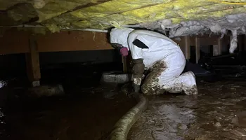 Water Mitigation for No Fear Restoration LLC in Port Angeles, WA