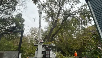 Tree Removal for Cross Family Tree Service in Kearney, MO