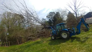 Tree Removal for Hired Gunz Services LLC in La Plata, MD