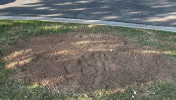 Stump Removal for Mad Dust Stump Grinding in Howard County, MD