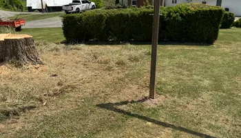 Tree Removal for Precision Cutz Tree Services, LLC in Coeburn, VA