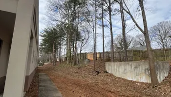 Tree Removal for J&M Stump Grinders LLC in Douglasville, GA