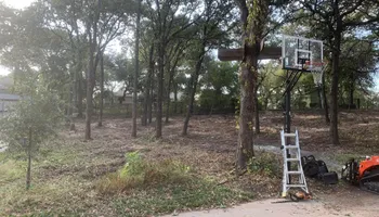 Tree Removal & Trimming for Teague Trees and Land Clearing in Rendon, TX