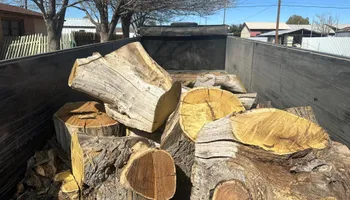Tree Removal for Compas Cleanup in McCamey, TX