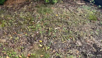 Lawn Care & Maintenance for Wilt Landscaping in Greenville, PA