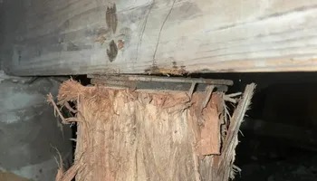 Foundation Repair for South Texas Foundation Repair in San Antonio, Texas