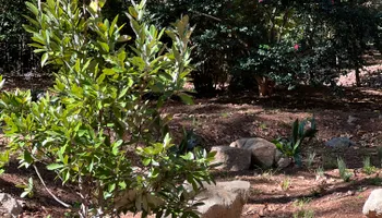 Erosion Control / Water Management for Christina King Landscape Design in Raleigh, NC