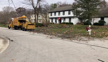 Tree Removal for Village Tree Service  in Whitestown, IN
