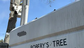 Tree Removal for Robery's Tree Service in West Wareham, MA