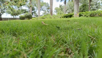 Retaining Wall Construction for Nice Image Landscaping Inc. in Fresno, CA